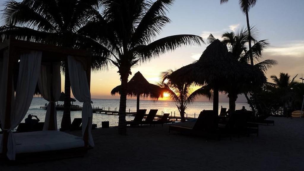 Cadaques Caribe Pez 103 Lägenhet Bayahibe Exteriör bild