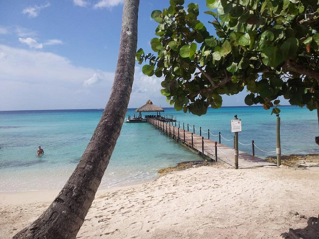 Cadaques Caribe Pez 103 Lägenhet Bayahibe Rum bild