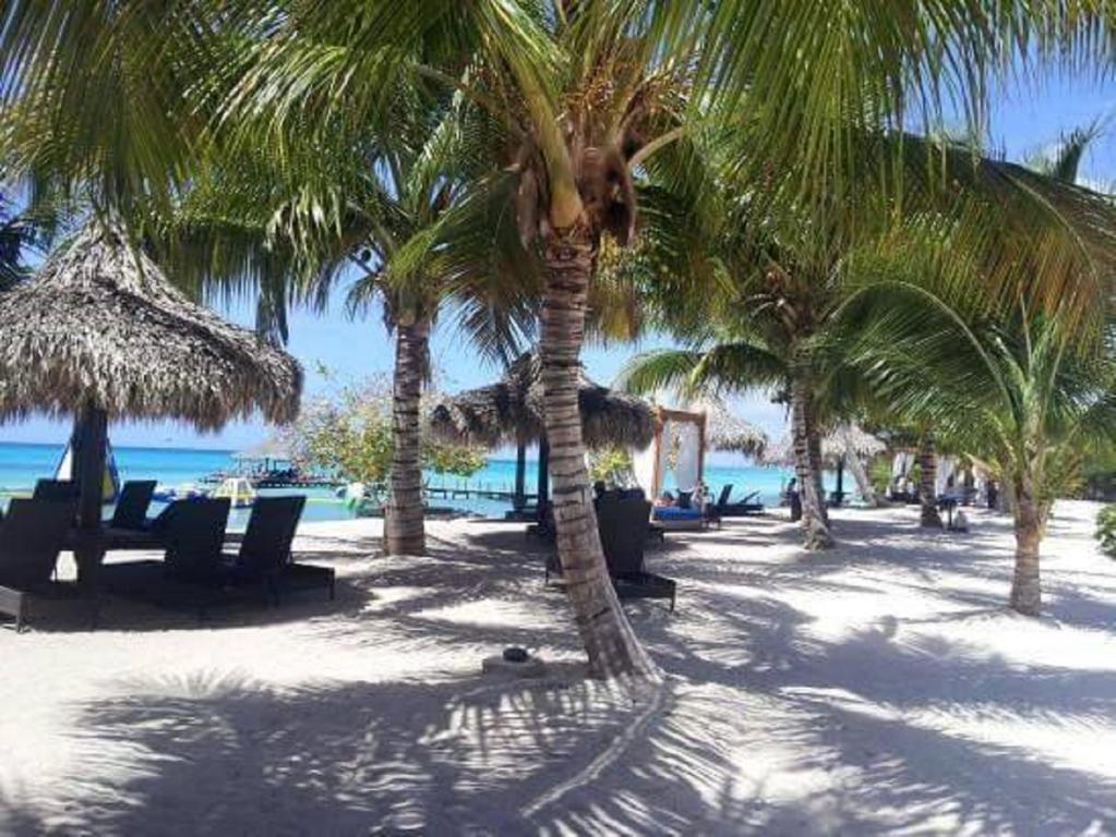 Cadaques Caribe Pez 103 Lägenhet Bayahibe Exteriör bild
