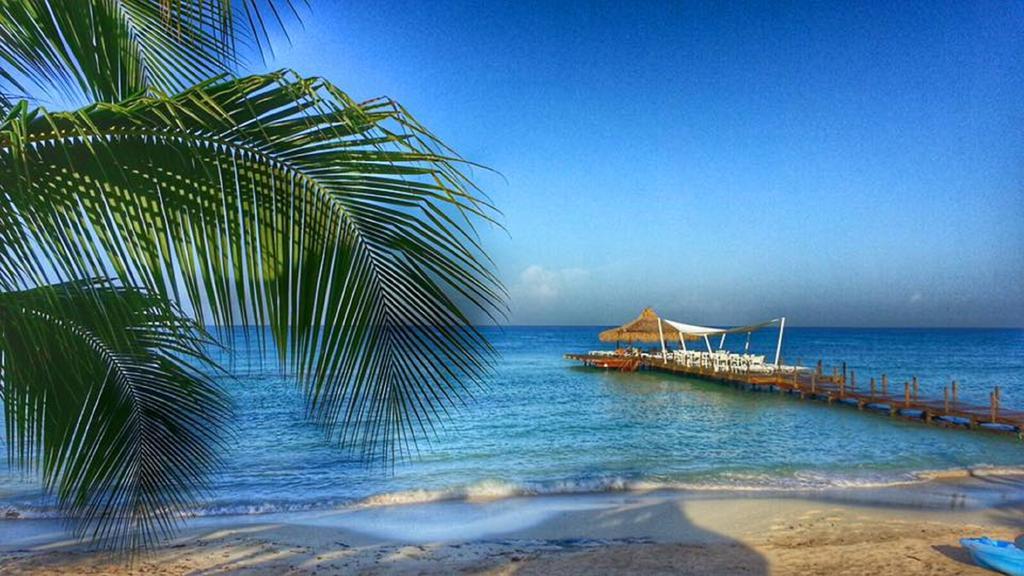 Cadaques Caribe Pez 103 Lägenhet Bayahibe Exteriör bild