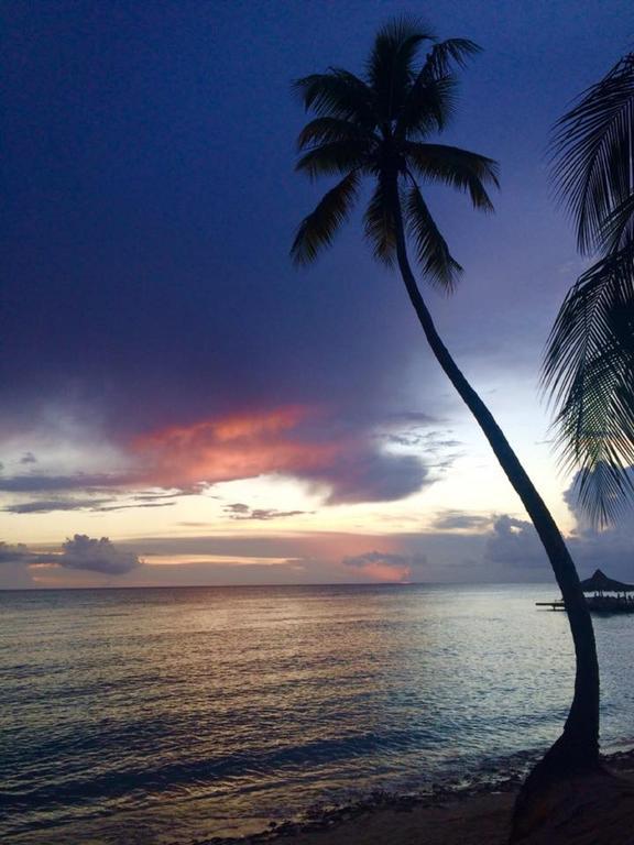 Cadaques Caribe Pez 103 Lägenhet Bayahibe Exteriör bild